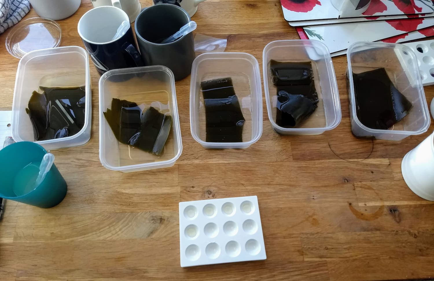 Samples of kombu set up in a row, surrounded by experimental equipment